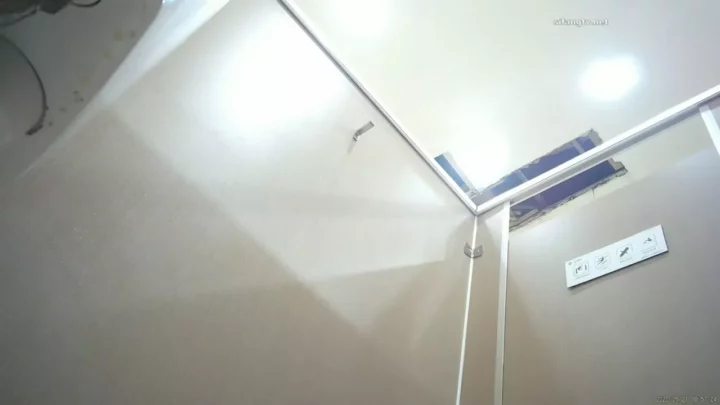 欲望の視線 中国公衆トイレ盗撮～覗かれた秘め事～ のスクリーンショット 1