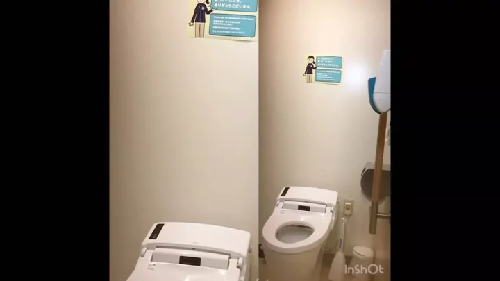 【トイレ盗撮5】人気シリーズ！隠しカメラが捉えた決定的瞬間 のスクリーンショット 1