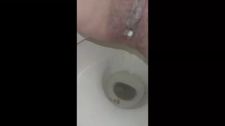 金髪美女のトイレ盗撮！熟女たちの秘められた瞬間 のスクリーンショット 1