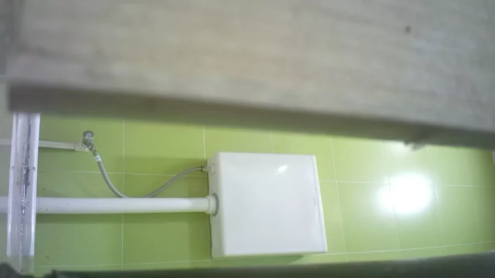 衝撃の盗撮！ホテル女子トイレで覗き見パノラマ のスクリーンショット 2