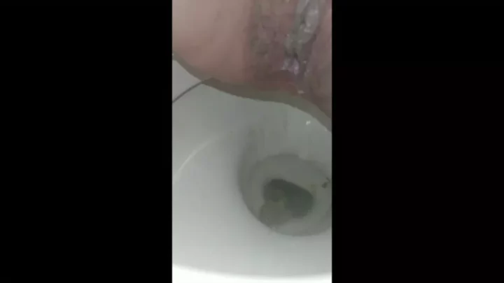 金髪美女のトイレ盗撮！熟女たちの秘められた瞬間 のスクリーンショット 2