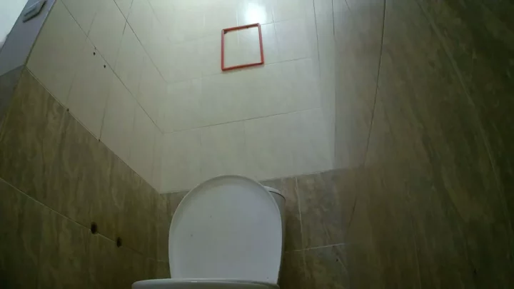 【隠し撮り】夜のガソリンスタンドトイレで覗き見 のスクリーンショット 4