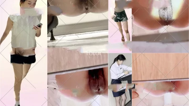 【限定入荷】戦慄！盗撮トイレ 麗しの美女が魅せる衝撃の瞬間