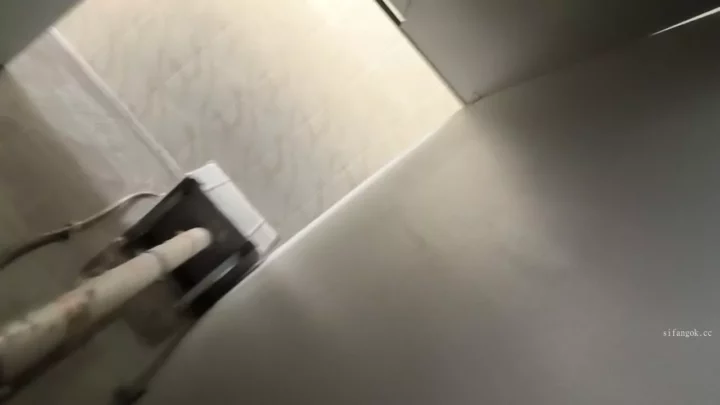 トイレで密着…恥じらいの陰毛タッチ撮影 のスクリーンショット 1