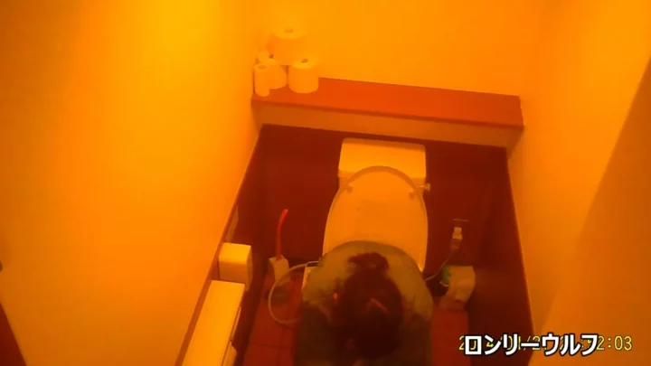 駅の個室トイレで盗撮！若い女性の秘密を暴く のスクリーンショット 9