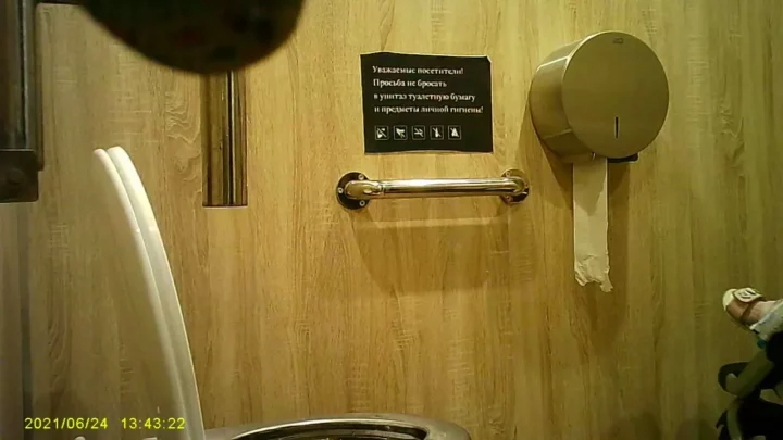 人目も気にせず…公衆トイレで大胆ハメ撮り！ のスクリーンショット 2