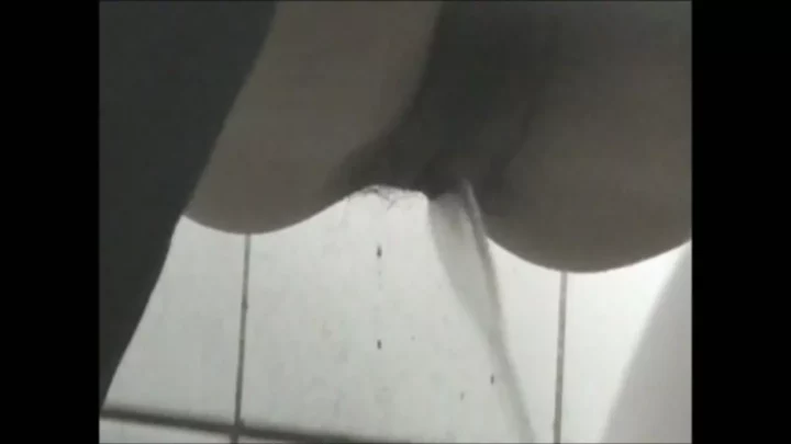 駅の個室トイレで盗撮！若い女性の秘密を暴く のスクリーンショット 8