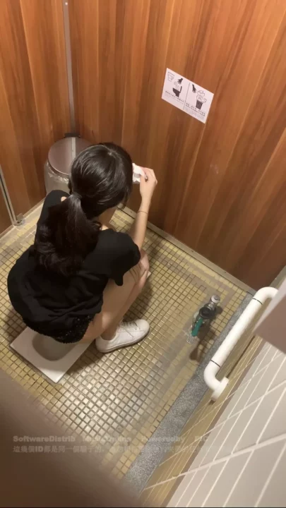 衝撃！盗撮カメラが捉えたトイレでの密会 のスクリーンショット 1