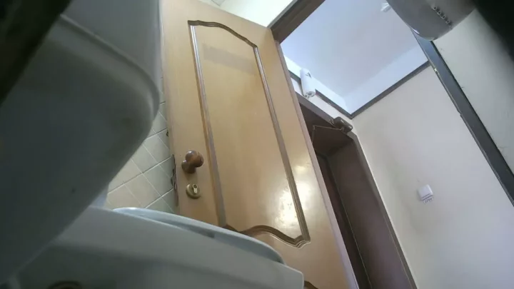 欲望うずまく公衆トイレの秘密:麗しの美女が魅せる禁断の世界 のスクリーンショット 2