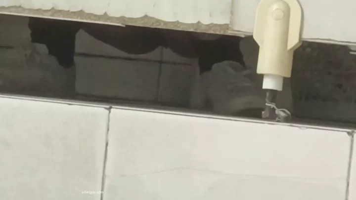 女子大生トイレ盗撮！学内の秘密を暴く隠しカメラ のスクリーンショット 3