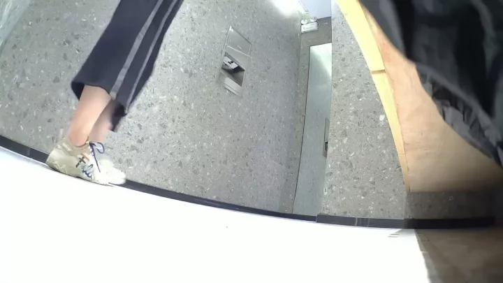 高級トイレで盗撮！美女たちの密かな排泄風景 のスクリーンショット 1