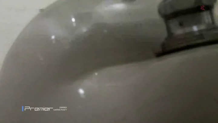 【幻】美貌の麗人、トイレでの無防備な瞬間 のスクリーンショット 1