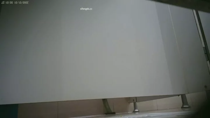 女子トイレ盗撮！ショッピングモールの秘め事 のスクリーンショット 2