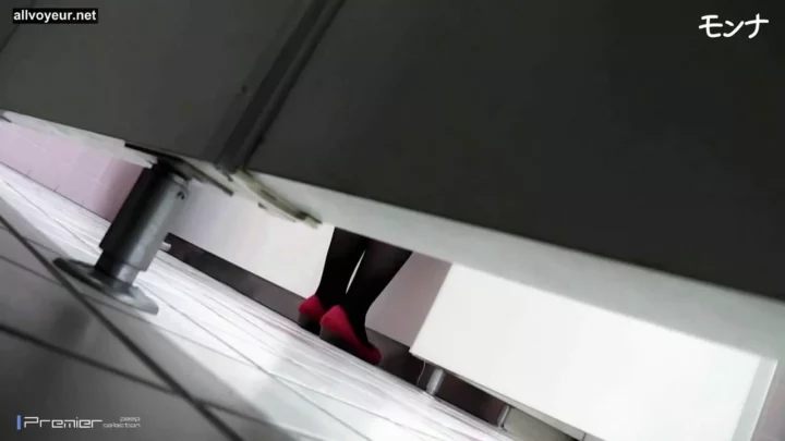 淑女の秘め事…トイレで盗み見た禁断の快楽 のスクリーンショット 2