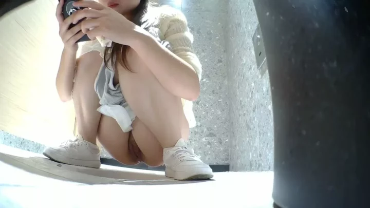 高級トイレで盗撮！美女たちの密かな排泄風景 のスクリーンショット 3