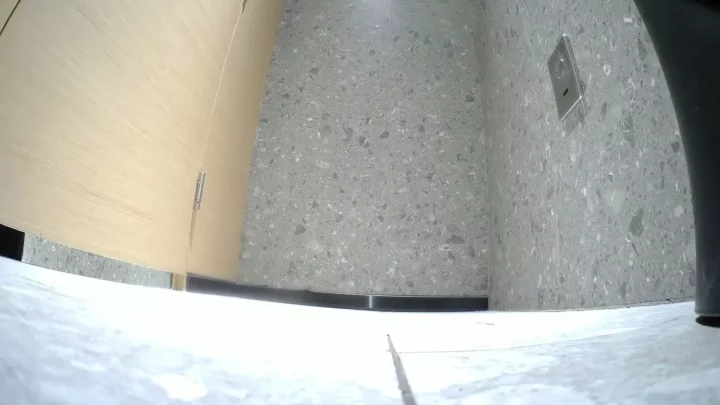 高級トイレで盗撮！美女たちの密かな排泄風景 のスクリーンショット 4