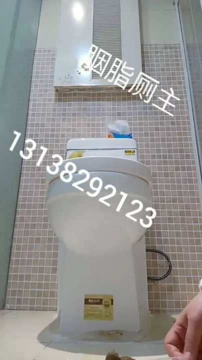 中国娘の衝撃告白！トイレで隠し撮りされた排泄映像 のスクリーンショット 5
