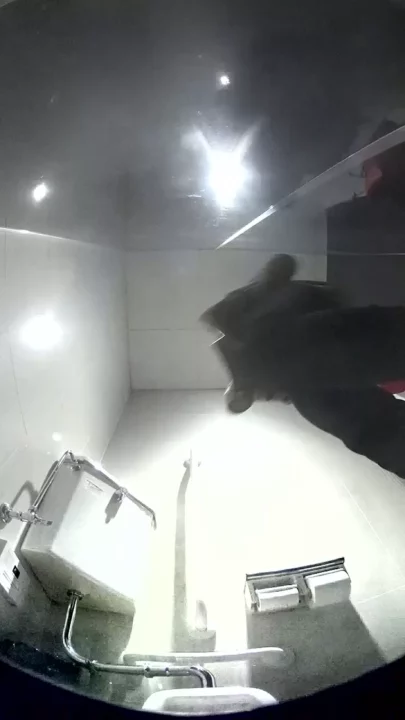 トイレで魅せるキャリアウーマンの秘められた毛 のスクリーンショット 2