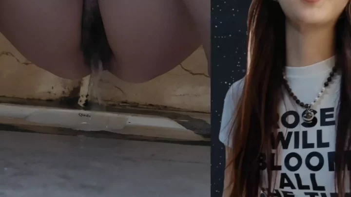 【中国トイレ盗撮】美人妻の秘密の瞬間を激写！ のスクリーンショット 3