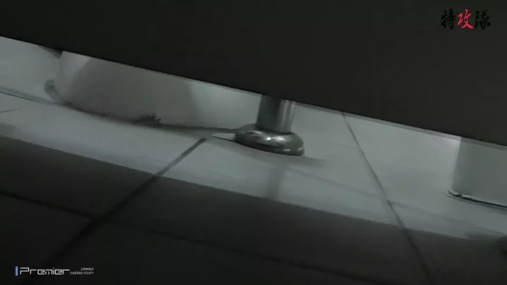 【完全盗撮】トイレで繰り広げられる美脚の饗宴 のスクリーンショット 3
