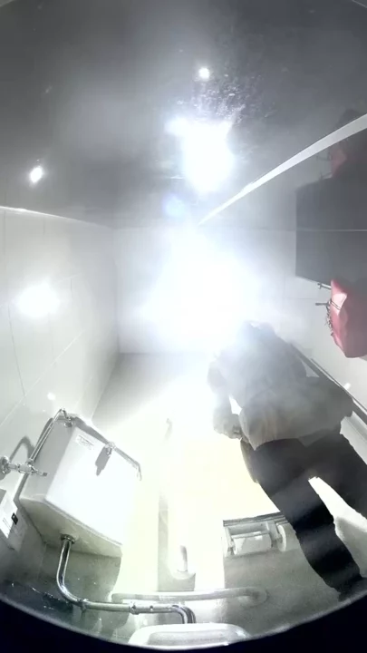 トイレで魅せるキャリアウーマンの秘められた毛 のスクリーンショット 4
