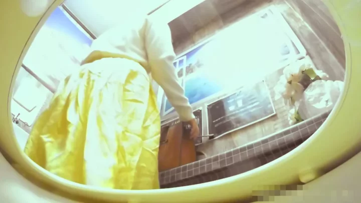 隠し撮り！トイレの秘密：続・放尿放屁黙示録20 のスクリーンショット 12