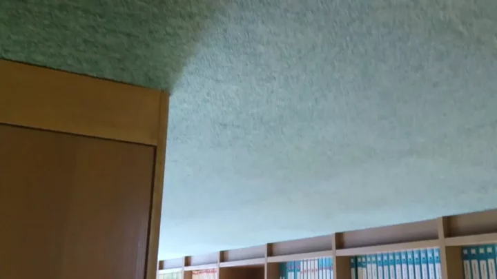 和式トイレ盗撮！大きな瞳の彼女が覗かれる のスクリーンショット 4