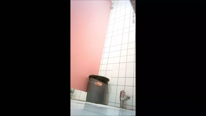 山奥の公衆トイレ盗撮！女性たちの無防備な瞬間 のスクリーンショット 1