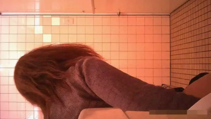 潮風と秘め事：ビーチトイレの隠し撮り体験 のスクリーンショット 5