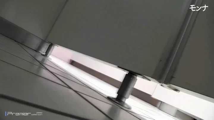淑女の秘め事：想像が現実になる瞬間 のスクリーンショット 1