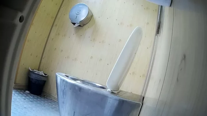 公共のトイレで欲望が爆発！秘密の快楽体験 のスクリーンショット 2
