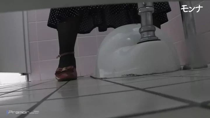 令和の隠し撮り！トイレで魅せる日本人妻の秘密 のスクリーンショット 2
