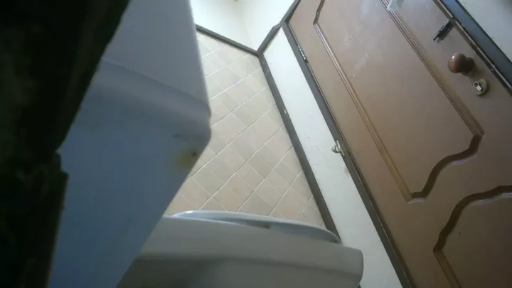 公衆トイレで美少女が魅せる！盗撮ハプニング のスクリーンショット 3
