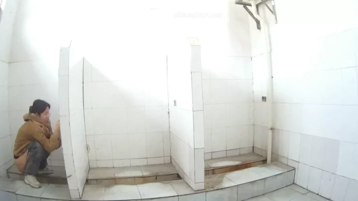 盗撮カメラが捉えた！公共トイレで大胆な密会 のスクリーンショット 3