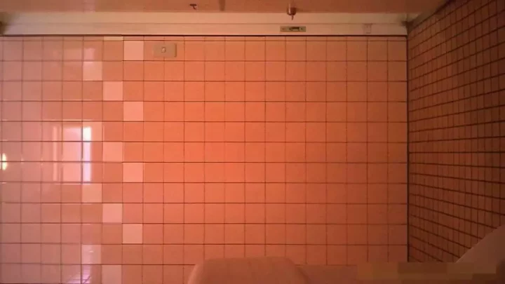 潮風と秘め事：ビーチトイレの隠し撮り体験 のスクリーンショット 8