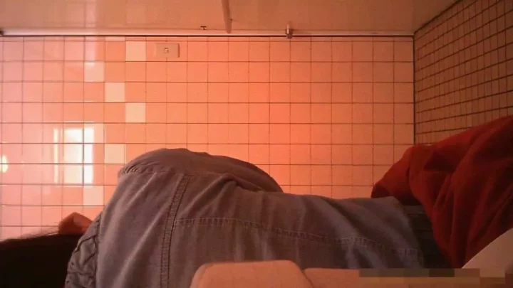 潮風と秘め事：ビーチトイレの隠し撮り体験 のスクリーンショット 12