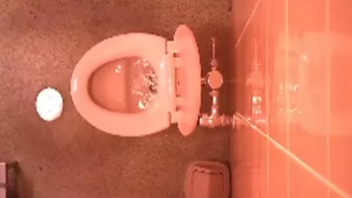 トイレで盗撮！若く美しい女性たちの秘密 のスクリーンショット 8