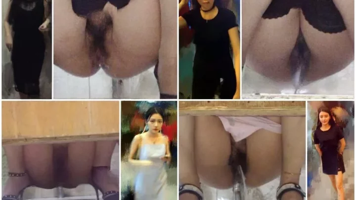 トイレ盗撮コレクション：純粋な女神の秘密