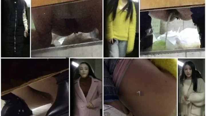 トイレ盗撮コレクション：純粋な女神の秘密 のスクリーンショット 2