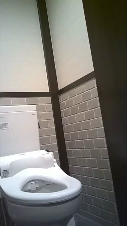 潮風と秘密の瞬間…海辺のトイレで覗き見 のスクリーンショット 5