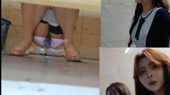 【隠し撮り】中国の公衆トイレで美熟女を盗撮 のスクリーンショット 10