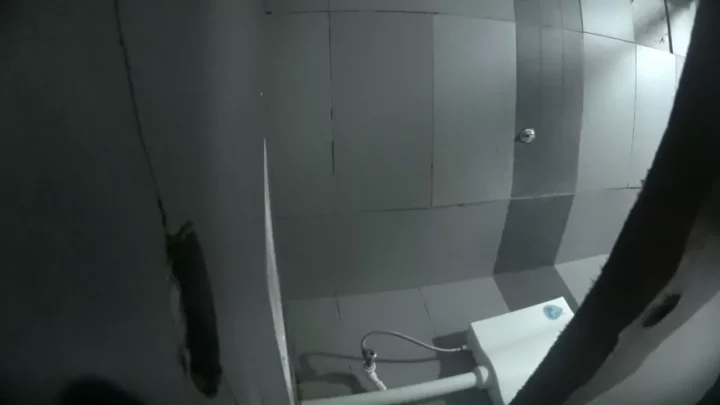 女子トイレ潜入！まさかの遭遇でピンチに… のスクリーンショット 2