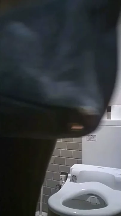 潮風と秘密の瞬間…海辺のトイレで覗き見 のスクリーンショット 7
