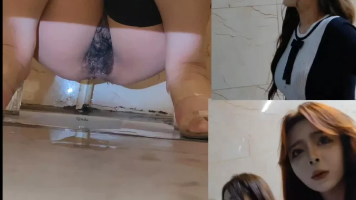 【隠し撮り】中国の公衆トイレで美熟女を盗撮 のスクリーンショット 11