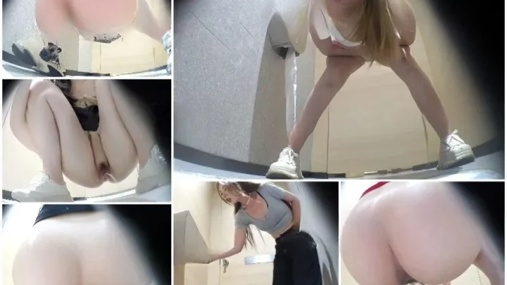 【トイレ盗撮】極上美尻を狙え！麗しの美女たち