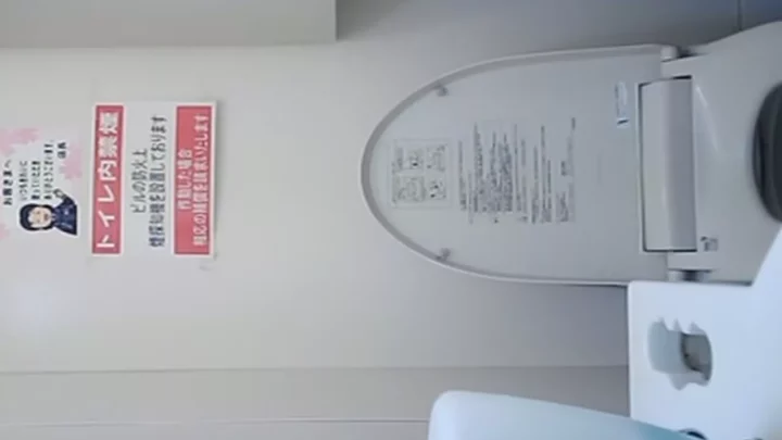【無修正】美女の洋式トイレ盗撮！決定的瞬間 のスクリーンショット 1