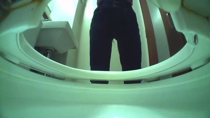 覗き見の快感！トイレの密室で繰り広げられる秘密の誘惑 のスクリーンショット 8