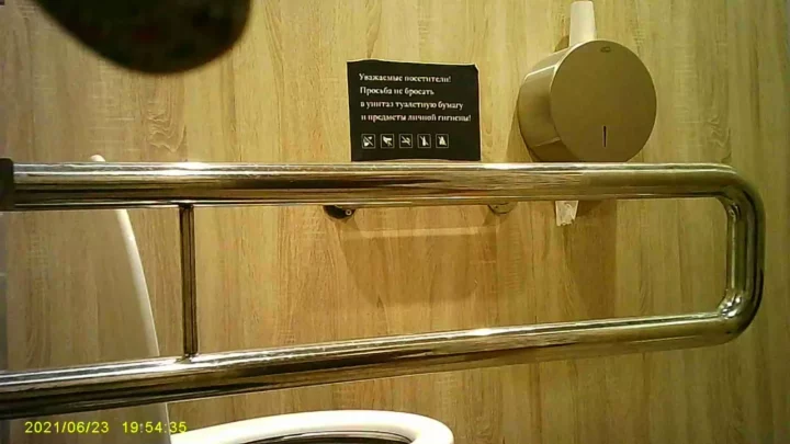 覗き見！トイレで用を足す美女たちの秘密の瞬間 のスクリーンショット 4