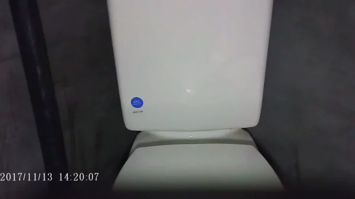 山奥の隠し撮り！美女が魅せるトイレでの秘密 のスクリーンショット 1