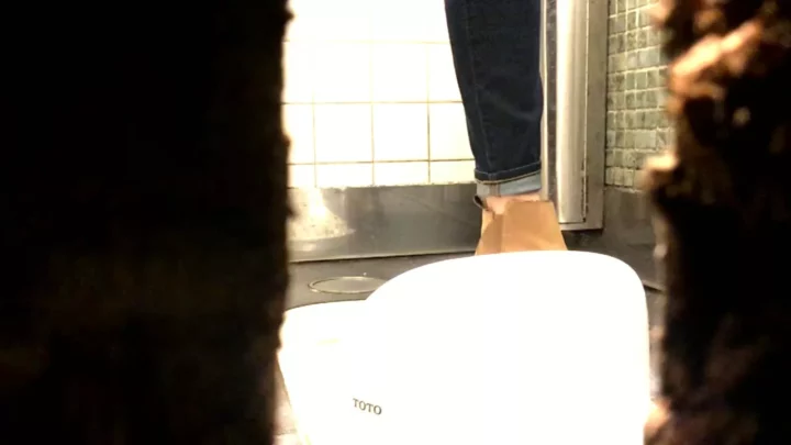 高級デパート和式トイレで熟女が魅せる無修正の秘密 のスクリーンショット 5